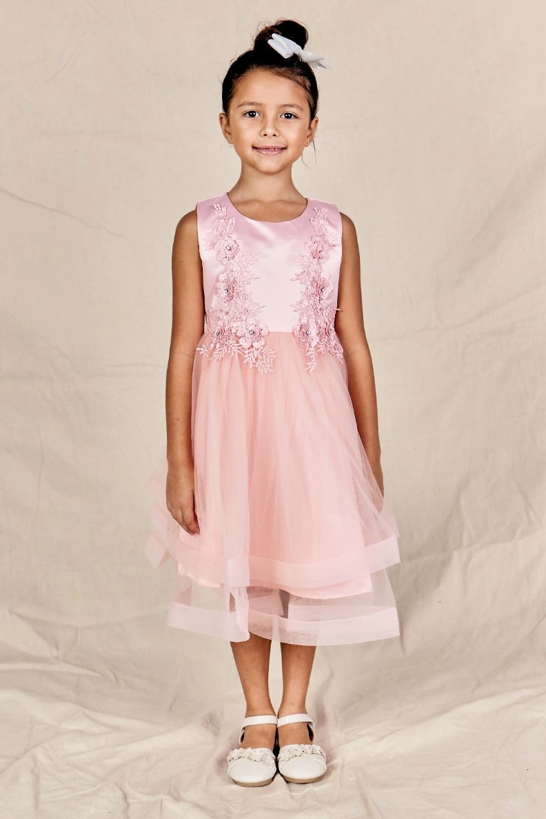 Leia Floral Embroidered Flower Girl Dress in Blush