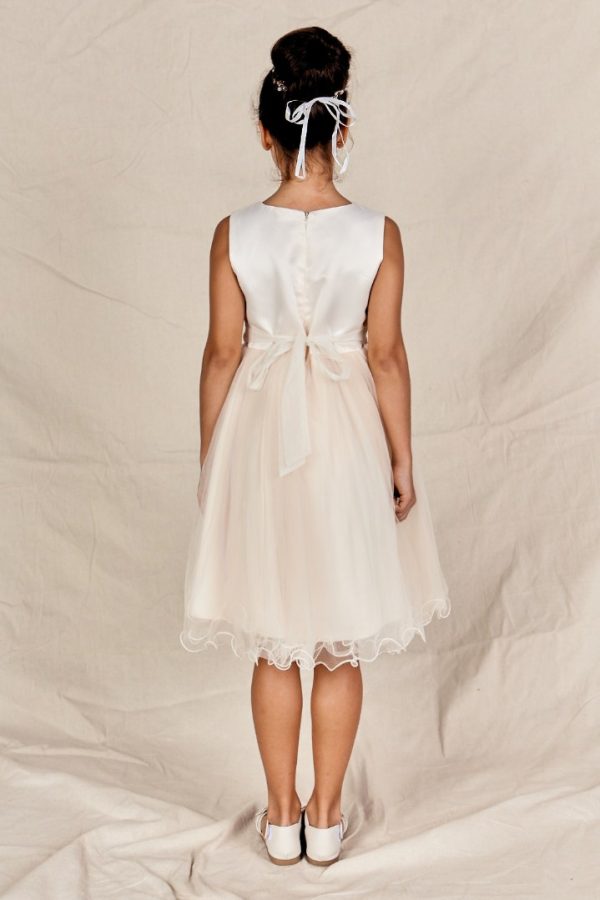 PhoebeFlowerGirlDressChampagneBack Flower Girl Phoebe Dress Brisbane Champagne Back Image