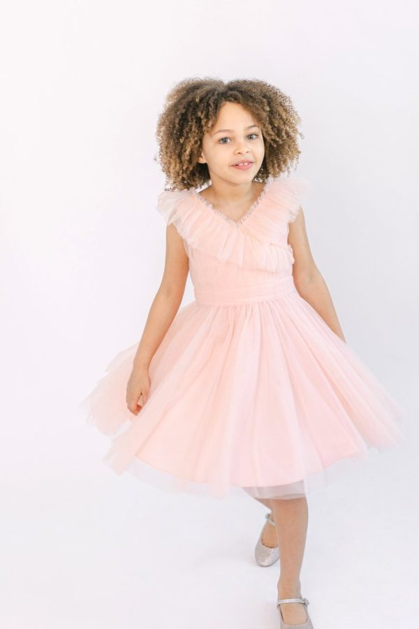 Angel Tulle Flower Girl Dress in Blush Pink