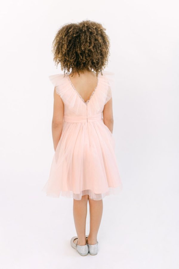 Angel Tulle Flower Girl Dress in Blush Pink Angel Tulle Flower Girl Dress in Blush Pink
