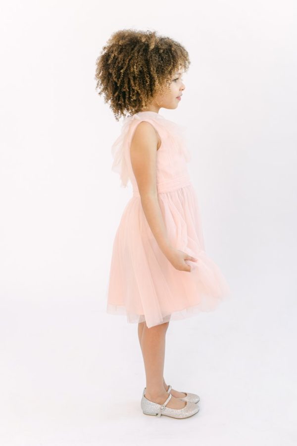 Angel Tulle Flower Girl Dress in Blush Pink Angel Tulle Flower Girl Dress in Blush Pink